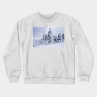 wonderland Crewneck Sweatshirt